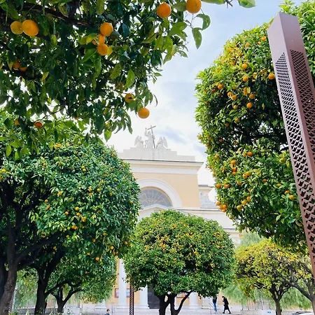 Amber - Highlights And Διαμέρισμα *