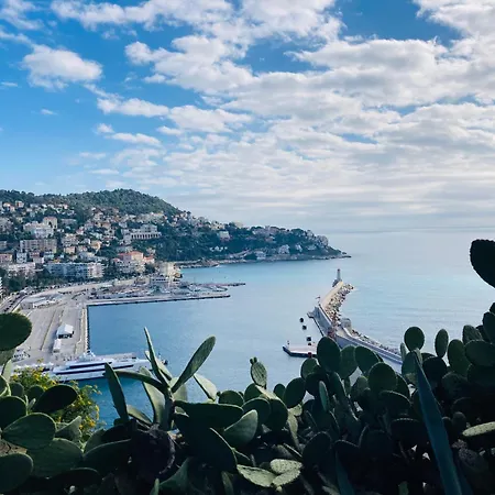 Amber - Highlights And Apartman Nizza