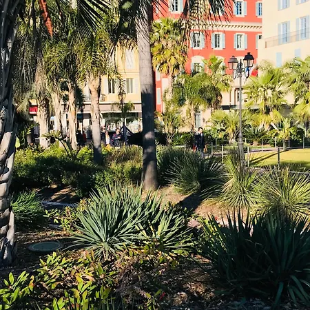 Amber - Highlights And