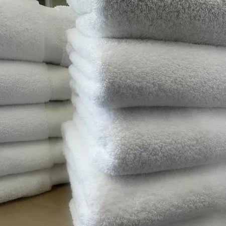 Amber - Highlights And * Nizza