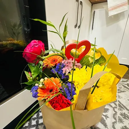 Amber - Highlights And ניס