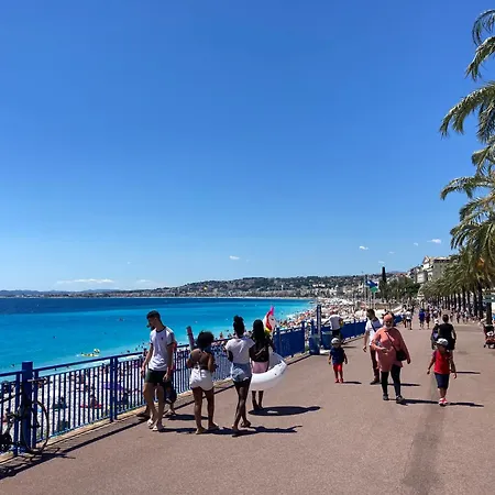 Amber - Highlights And 公寓 *