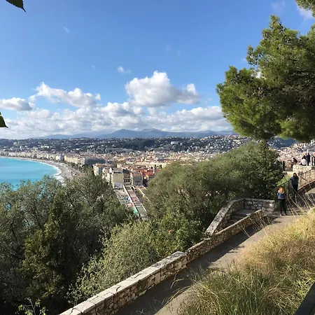 Amber - Highlights And