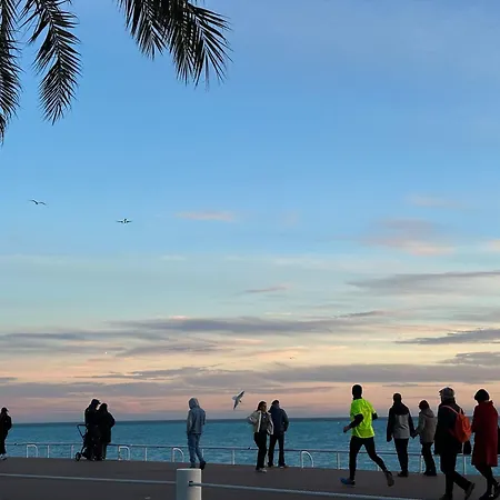 Amber - Highlights And 公寓 *