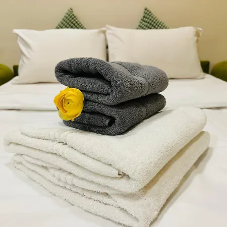 Amber - Highlights And 尼斯