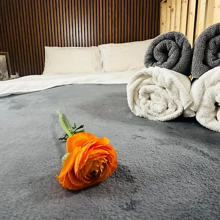 Apartament Amber - Highlights And