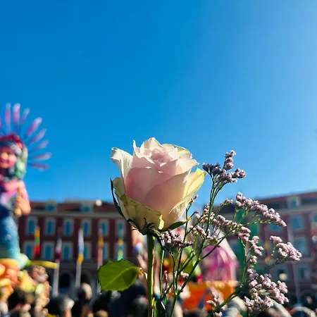 Amber - Highlights And 公寓