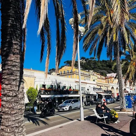 Amber - Highlights And