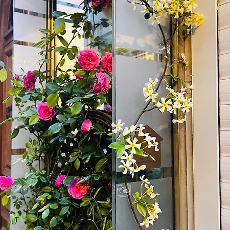 Amber - Highlights And